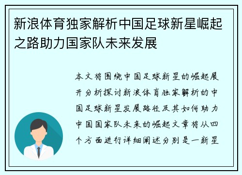 新浪体育独家解析中国足球新星崛起之路助力国家队未来发展
